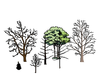 ֲSketchUpģ