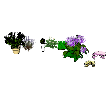 ֲSketchUpģ