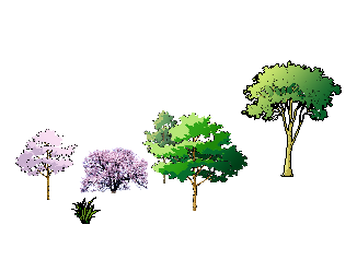 ֲSketchUpģ
