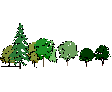 ֲSketchUpģ