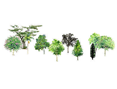 ֲSketchUpģ