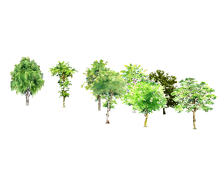 ֲSketchUpģ