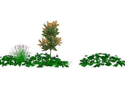 ֲSketchUpģ