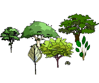 ֲSketchUpģ