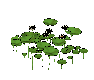 ֲSketchUpģ