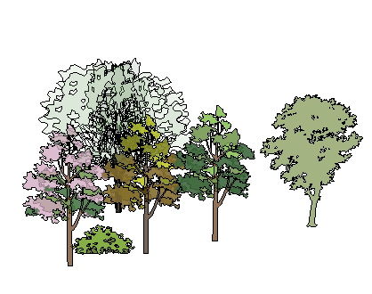 ֲSketchUpģ
