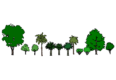 ֲSketchUpģ