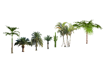 ֲSketchUpģ