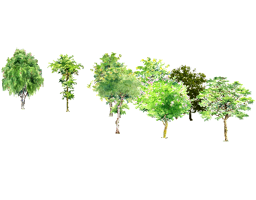 ֲSketchUpģ