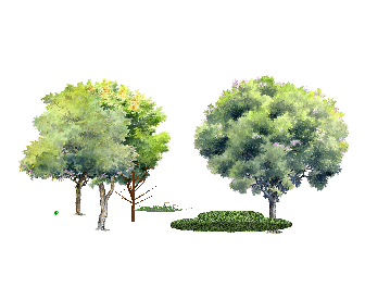 ֲSketchUpģ