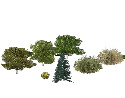ֲSketchUpģ