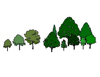 ֲSketchUpģ