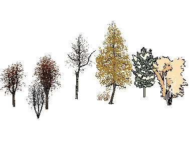 ֲSketchUpģ