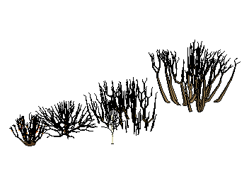 ֲSketchUpģ