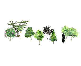 ֲSketchUpģ