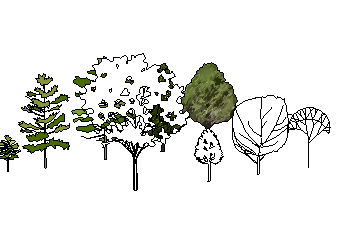 ֲSketchUpģ