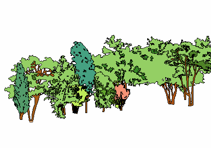 ֲSketchUpģ