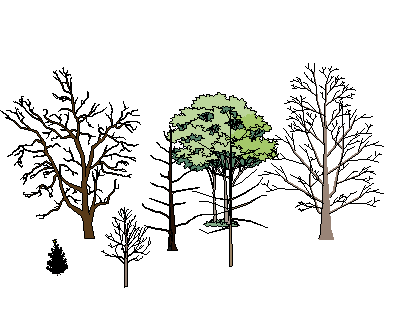 ֲSketchUpģ