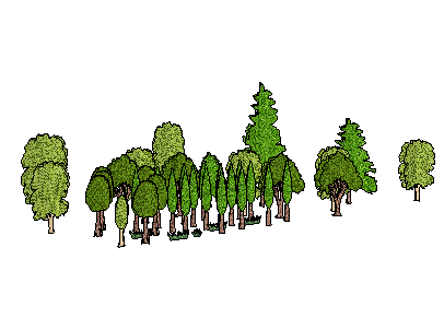 ֲSketchUpģ