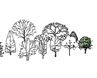 ֲSketchUpģ