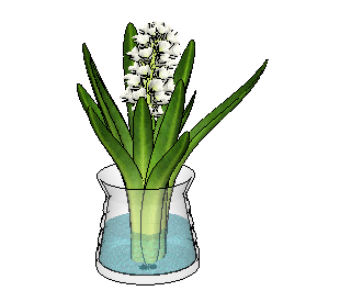 ֲSketchUpģ