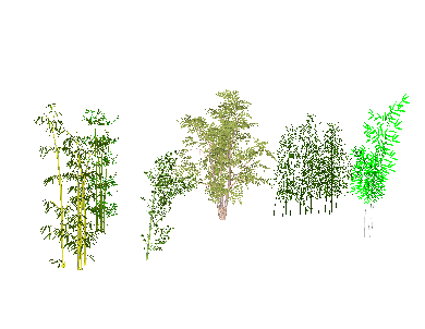 ֲSketchUpģ