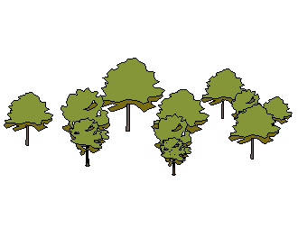 ֲSketchUpģ