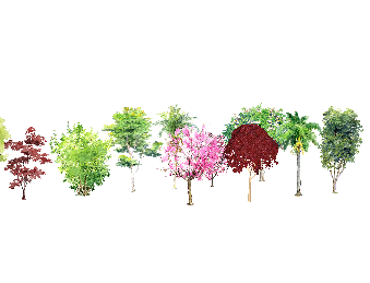 ֲSketchUpģ