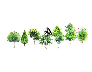ֲSketchUpģ