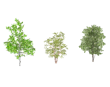 ֲSketchUpģ