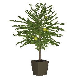 ֲSketchUpģ