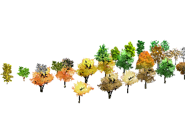 ֲSketchUpģ