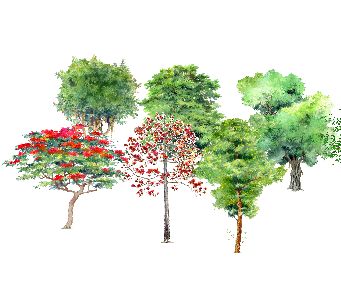 ֲSketchUpģ