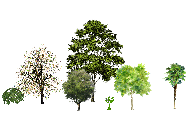 ֲSketchUpģ