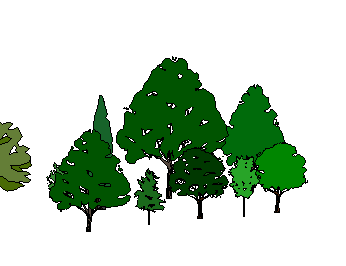 ֲSketchUpģ