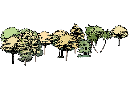 ֲSketchUpģ
