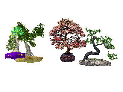 ֲSketchUpģ