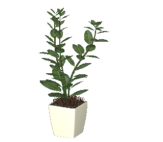 ֲSketchUpģ