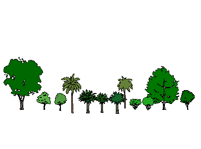 ֲSketchUpģ