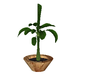 ֲSketchUpģ