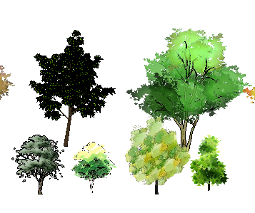 ֲSketchUpģ