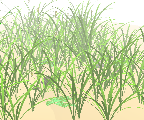ֲSketchUpģ