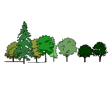 ֲSketchUpģ
