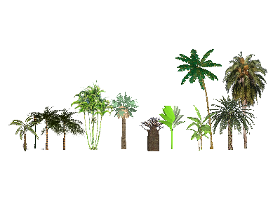 ֲSketchUpģ