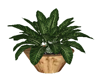 ֲSketchUpģ