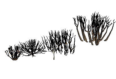 ֲSketchUpģ