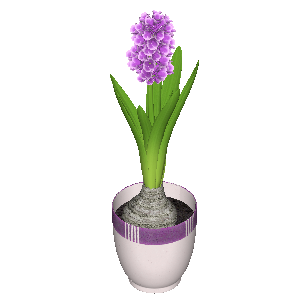 ֲSketchUpģ