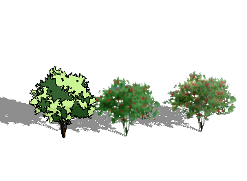 ֲSketchUpģ