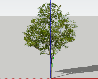 ֲSketchUpģ