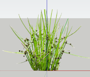 ֲSketchUpģ